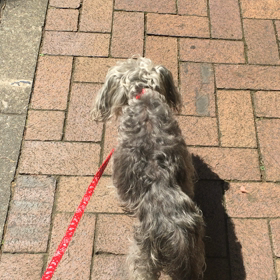 君の名は -其の壱-の画像