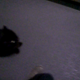 今日もまたｗｗｗの画像