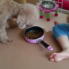 娘とプーちゃん♡の画像