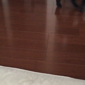 出来るコなんです(｀・ω・´)の画像