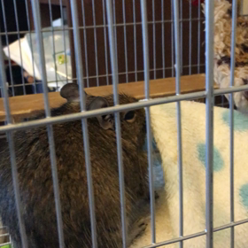 撮れた〜〜の画像