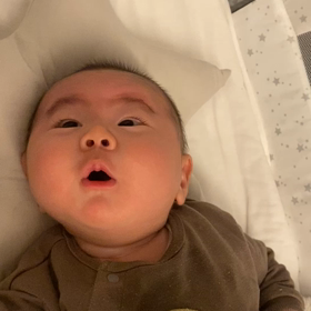 坊ちゃんのおしゃべりの画像