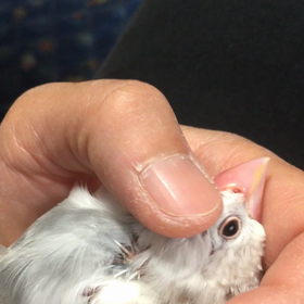 ⭐️気持ちいい⭐️の画像