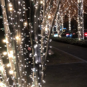 街がキラキラ✨の画像