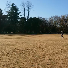 ジャベリック⑥の画像