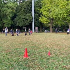 ダッシュ(ピンクチーム)②の画像