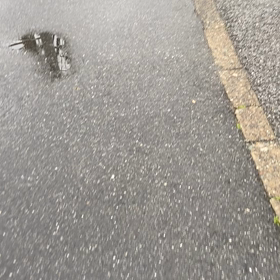 ほんに？の画像