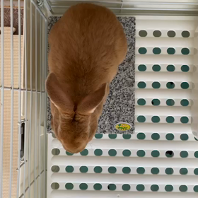 気持ちいいの画像