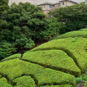 声のブログの画像