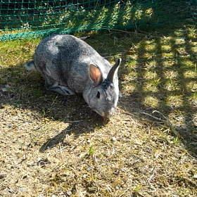 ひな祭り、疲れるわ～。の画像