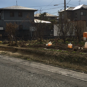 数え切れない程の鳥さんの画像