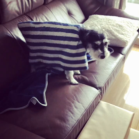 歓迎してない訳じゃないけどの画像