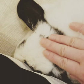 ナデナデ大好き。の画像