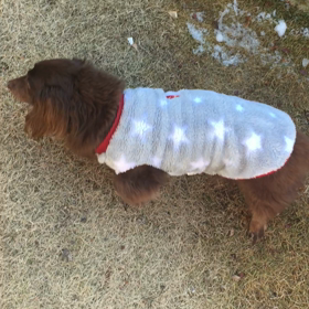 ぽみの脚に異変！！②の画像