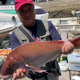 令和３年９月４日(土)　☀晴の画像