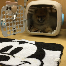 マメに通いましょうね。の画像