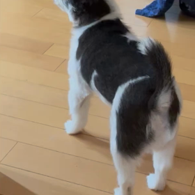 1週間ぶりに帰宅の画像