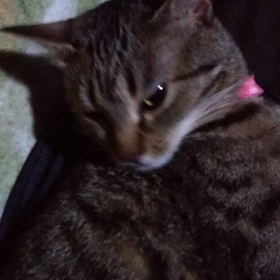 21/03/16寝た。の画像