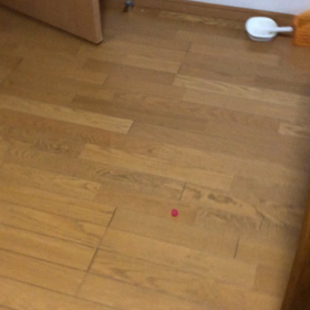 いつもメルカリ発送はドキドキ… パワフルデール！の画像