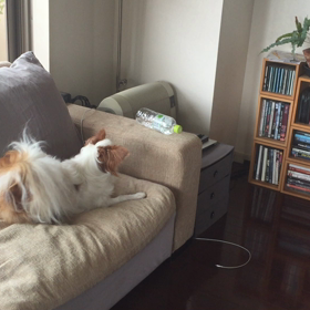 事件ですの画像