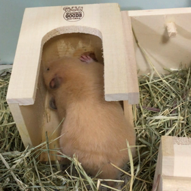 解体工事の画像