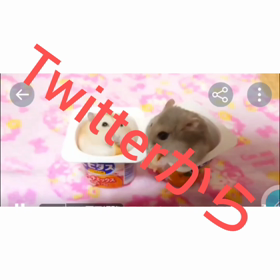 今日は時の記念日の画像