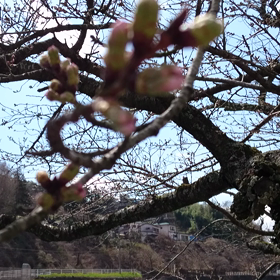 トントン拍子にの画像