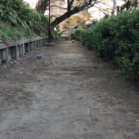 弾丸ベイビーの画像