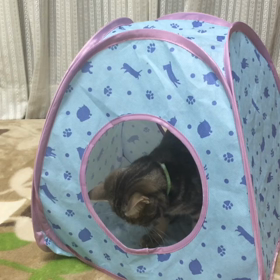 おもちゃの画像