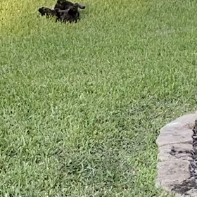 ハリケーン前夜の画像