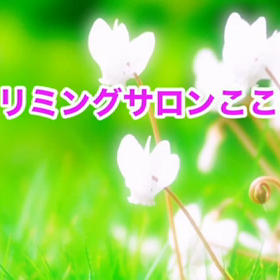 11月　〜スライドショー〜の画像