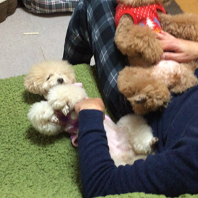 幸せなひと時の画像