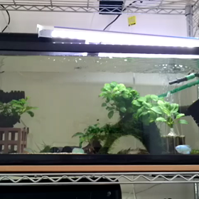 あっちこっちの画像