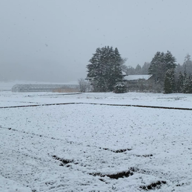 寒い(≧∀≦)の画像