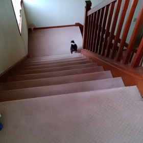 売れた〜＼(°o°)／の画像