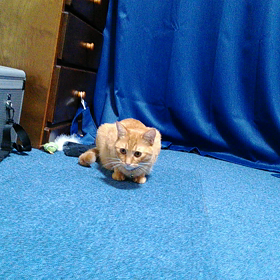 旦那さん帰宅後は、の画像