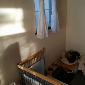 おはようエルフ君♪の画像