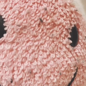 イヤイヤちゃんの画像