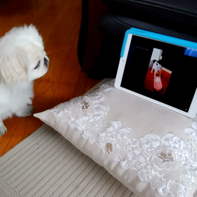 動画チェック。の画像