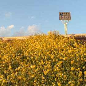 夕暮れ時！の画像