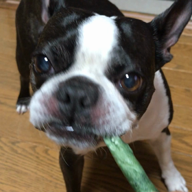 美弥るりかさん千秋楽の画像