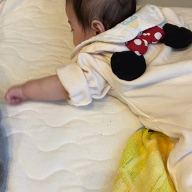 なんか泳いでるの画像