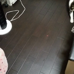 レーザーポインターの画像