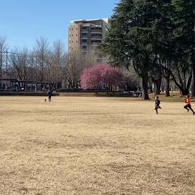 特別練習 B 学年別インターバル⑧の画像
