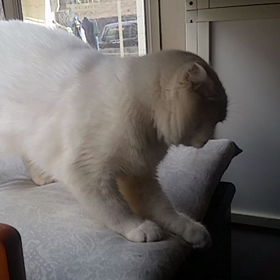 おひさ～～～の画像