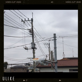 なかなか上手くいったの画像