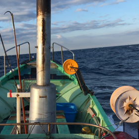 西伊豆第八恵漁丸の画像