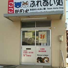 今日はタロ、ジロの日の画像