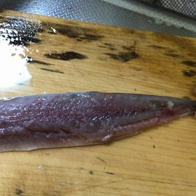 さんまのお造りの画像