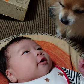 優蒼ちゃん★ソックスくんの画像